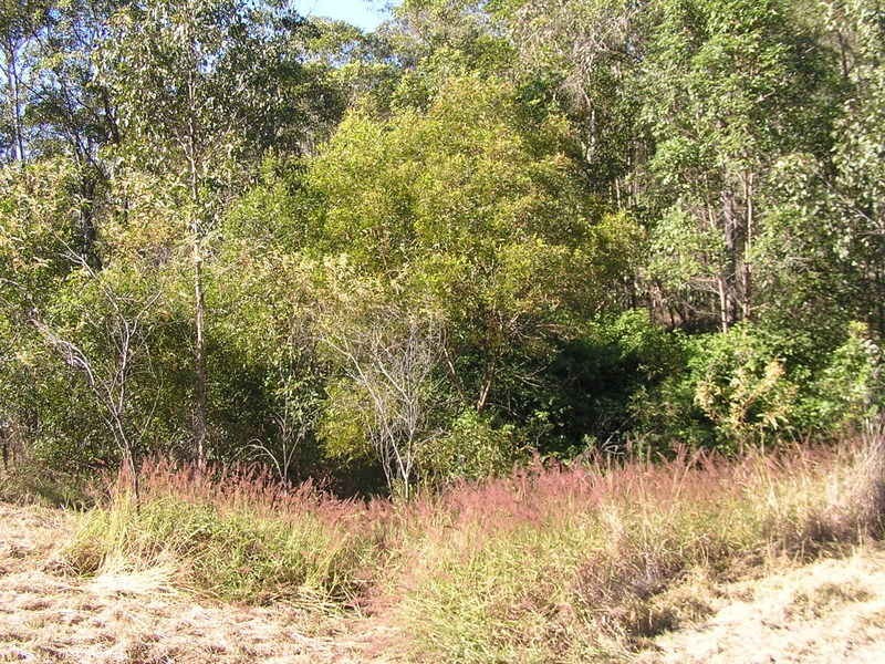 42 Ray Myers Road, Imbil QLD 4570