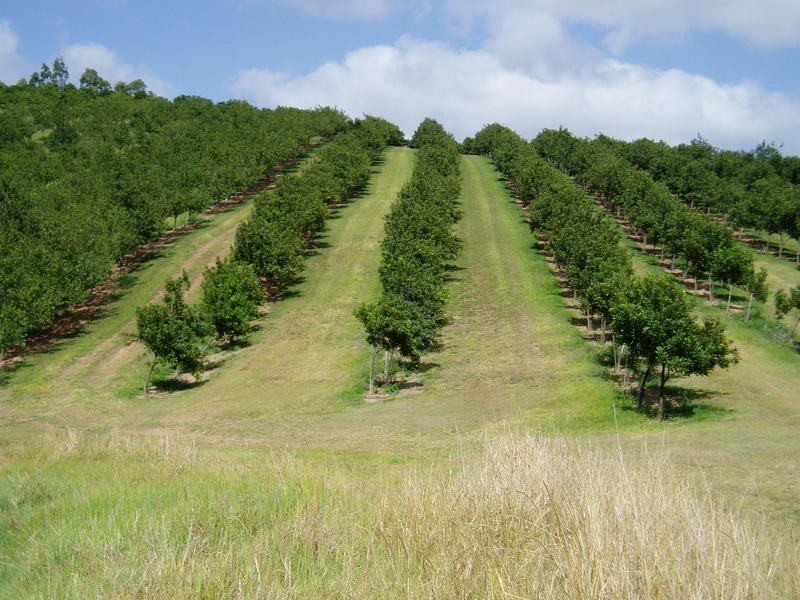 Lot 6 Edwards Road, Amamoor QLD 4570