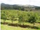 Lot 6 Edwards Road, Amamoor QLD 4570