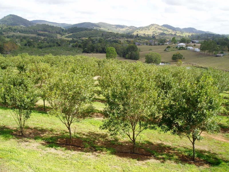 Lot 6 Edwards Road, Amamoor QLD 4570