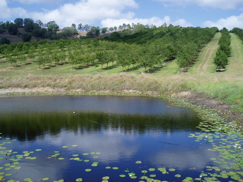 Lot 6 Edwards Road, Amamoor QLD 4570