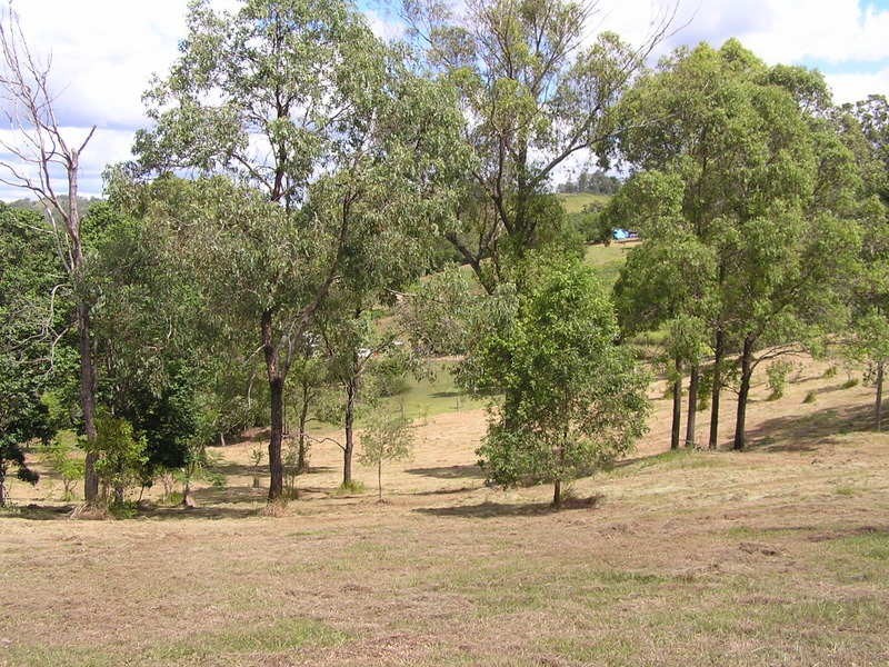 Lot 13 Greenoak Road, Kandanga QLD 4570
