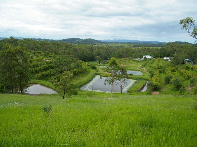 264 Tunnel Road, Imbil QLD 4570