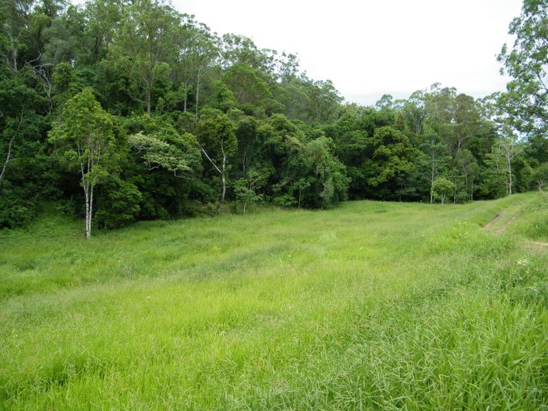 264 Tunnel Road, Imbil QLD 4570