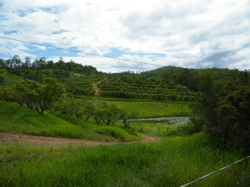 264 Tunnel Road, Imbil QLD 4570