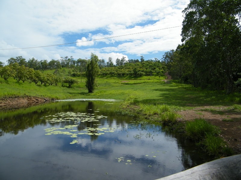 264 Tunnel Road, Imbil QLD 4570