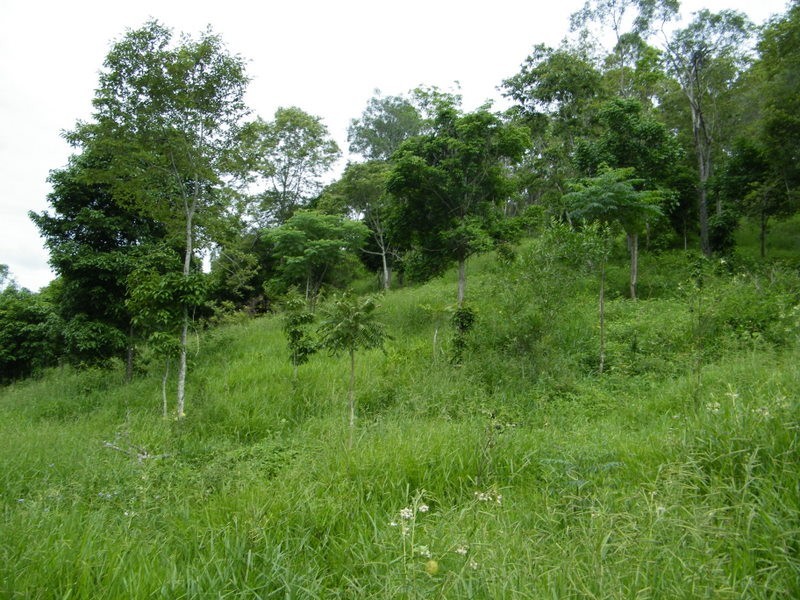 264 Tunnel Road, Imbil QLD 4570