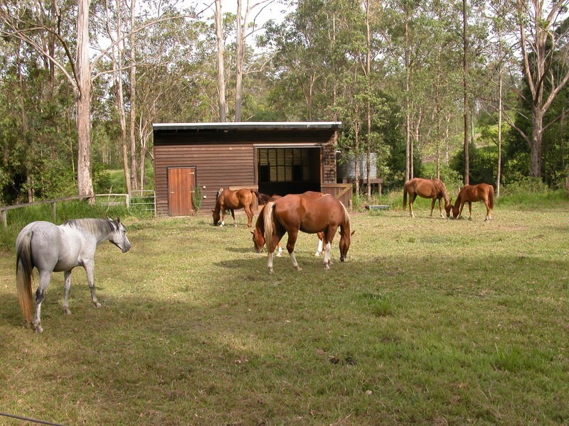 264 Tunnel Road, Imbil QLD 4570