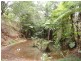 Yungaburra QLD 4884