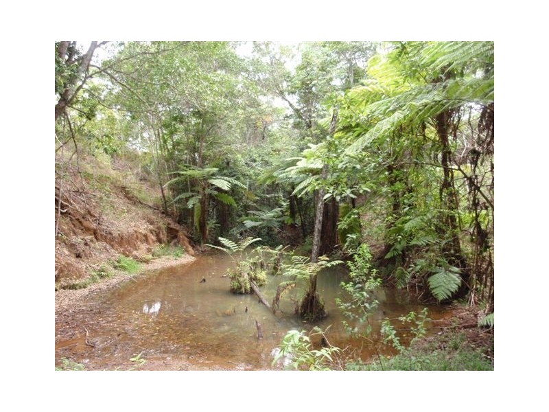 Yungaburra QLD 4884