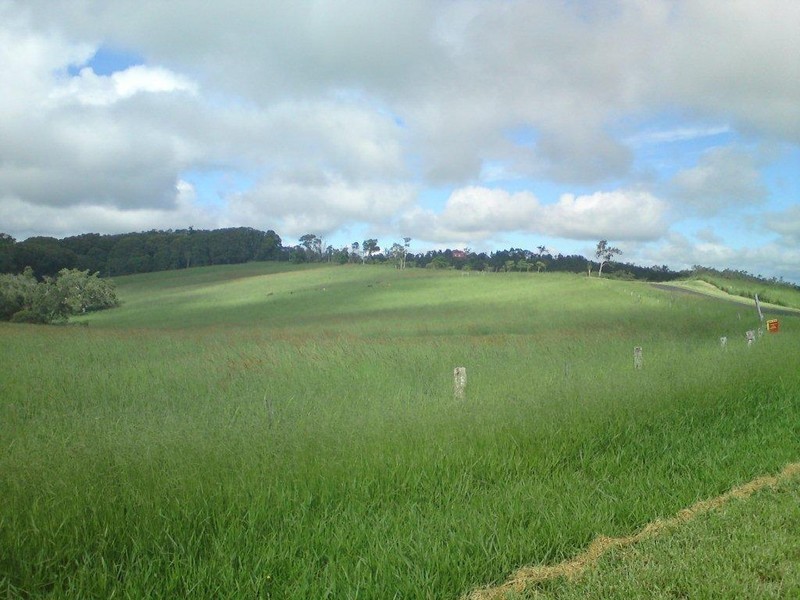 Yungaburra QLD 4884