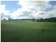 Yungaburra QLD 4884