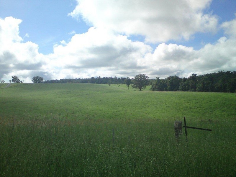 Yungaburra QLD 4884