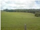 Yungaburra QLD 4884