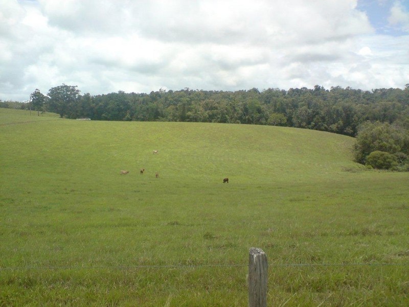 Yungaburra QLD 4884