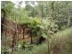 Yungaburra QLD 4884