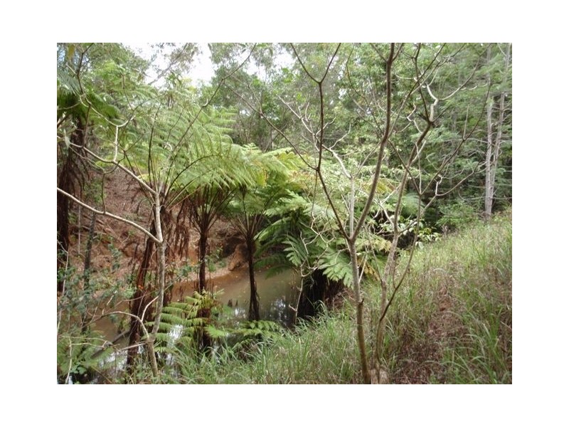 Yungaburra QLD 4884