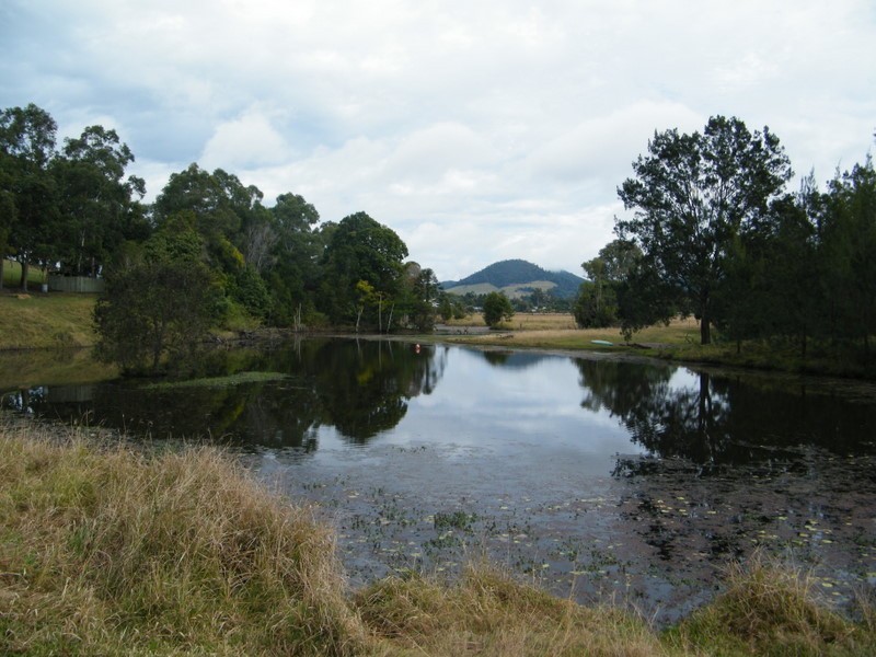 186 Blackgate Road, Amamoor QLD 4570