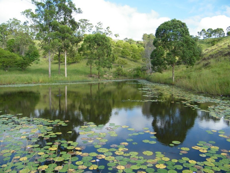 385 Diamondfield Road, Kandanga QLD 4570
