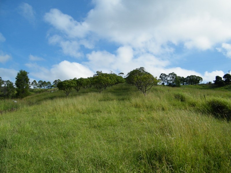 385 Diamondfield Road, Kandanga QLD 4570