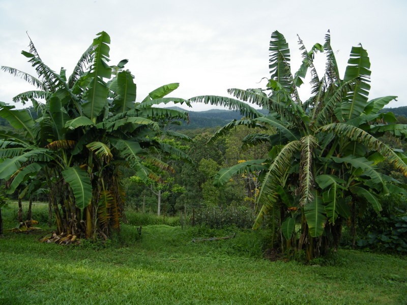 71 Marroo Road, Brooloo QLD 4570