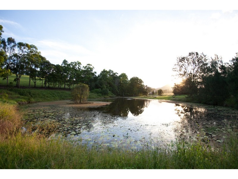 186 Blackgate Road, Amamoor QLD 4570