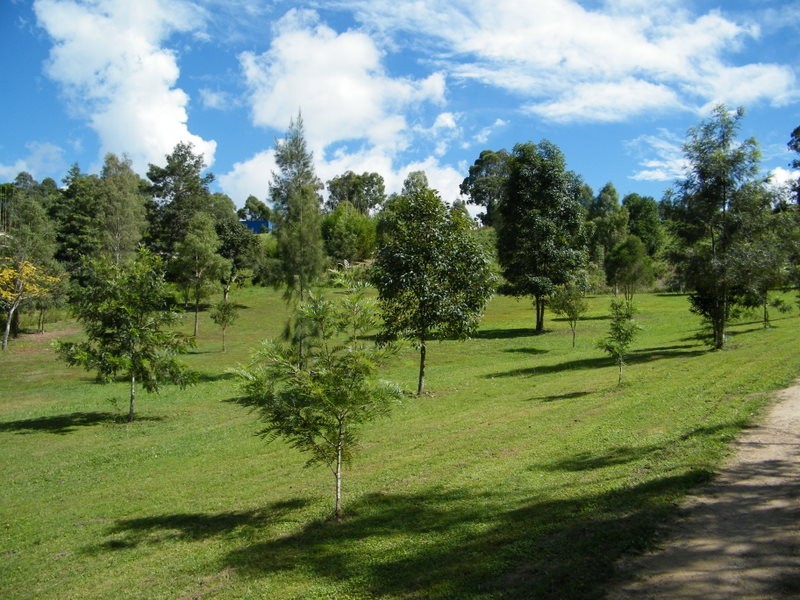 Lot 5 Greenoak Road, Kandanga QLD 4570