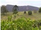 Lot 1 Andersen, Brooloo QLD 4570