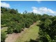 Amamoor QLD 4570