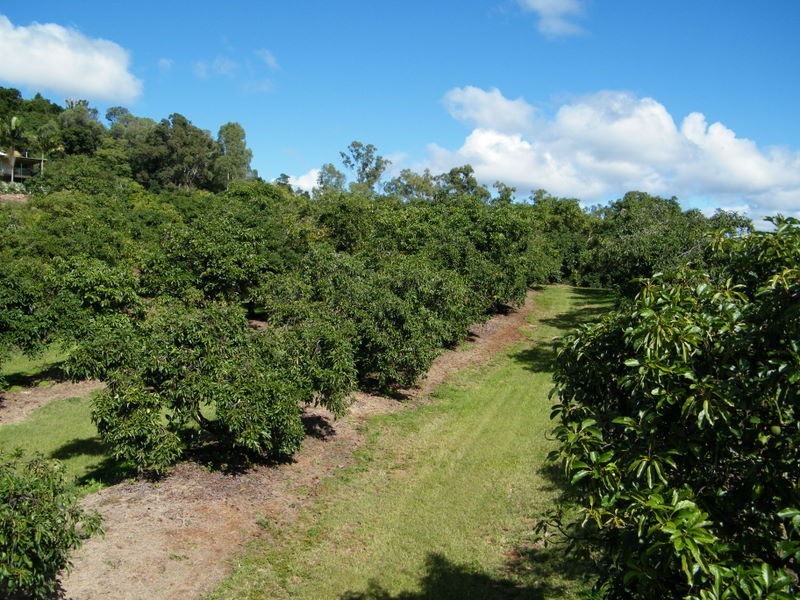 Amamoor QLD 4570