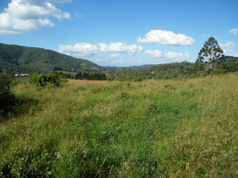 Upper Kandanga QLD 4570