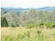 Upper Kandanga QLD 4570