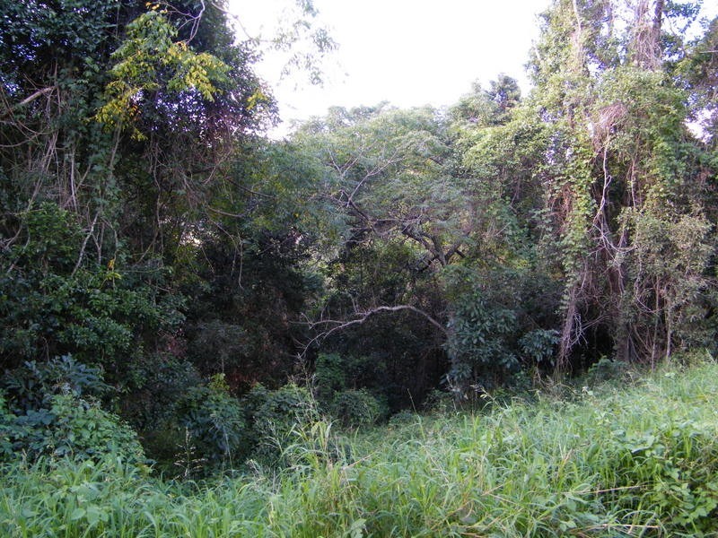 Upper Kandanga QLD 4570