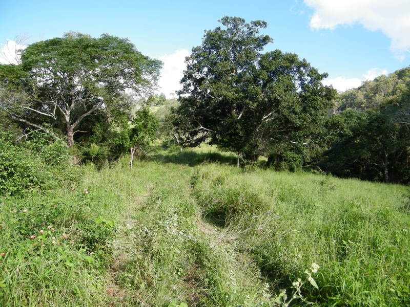 Upper Kandanga QLD 4570