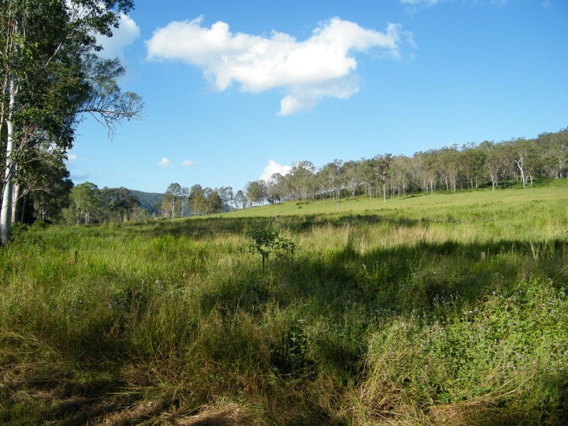 Upper Kandanga QLD 4570