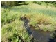 Kandanga Creek QLD 4570