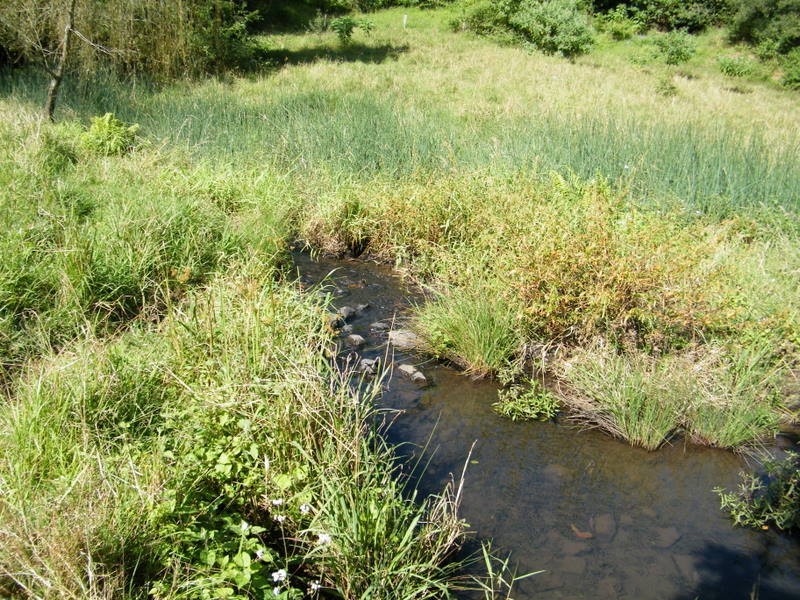 Kandanga Creek QLD 4570