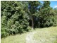 Kandanga Creek QLD 4570