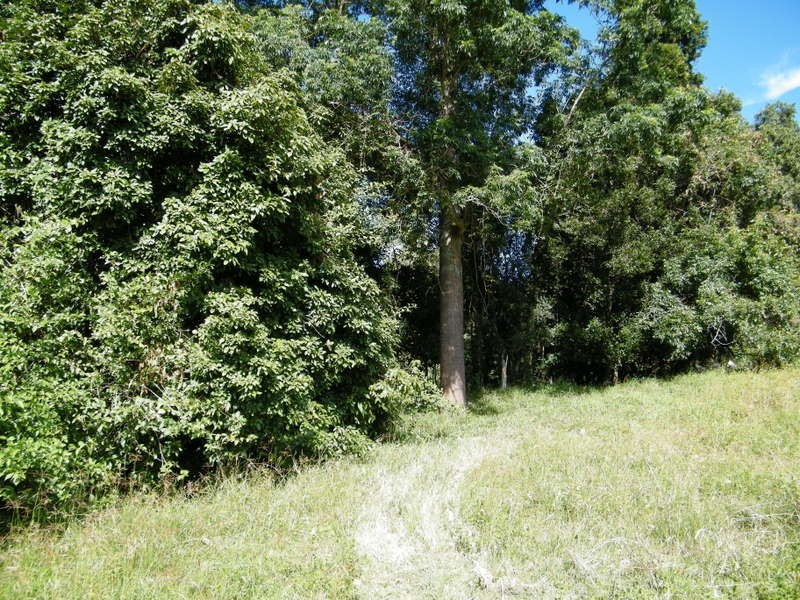 Kandanga Creek QLD 4570
