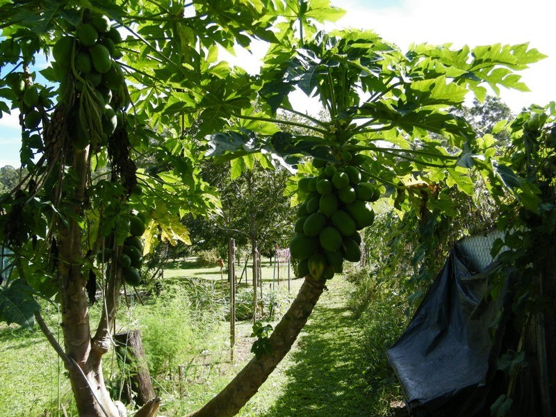 Kandanga Creek QLD 4570