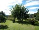 Kandanga Creek QLD 4570