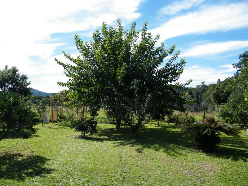Kandanga Creek QLD 4570