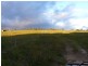 Walkamin QLD 4872
