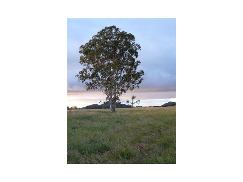 Walkamin QLD 4872
