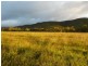 Walkamin QLD 4872