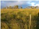 Walkamin QLD 4872