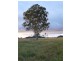 Walkamin QLD 4872