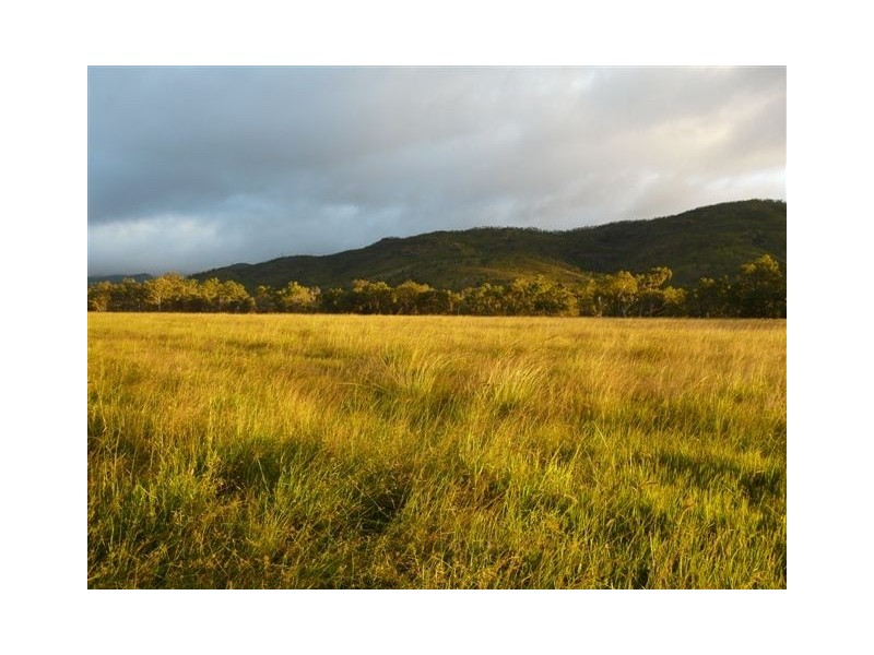 Walkamin QLD 4872
