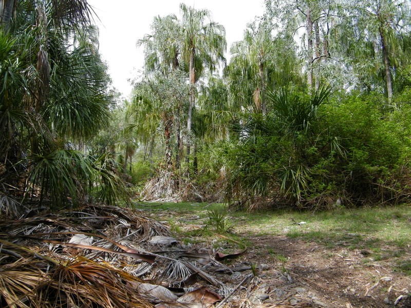 Lot 1 Upper Thornside Road, Widgee QLD 4570