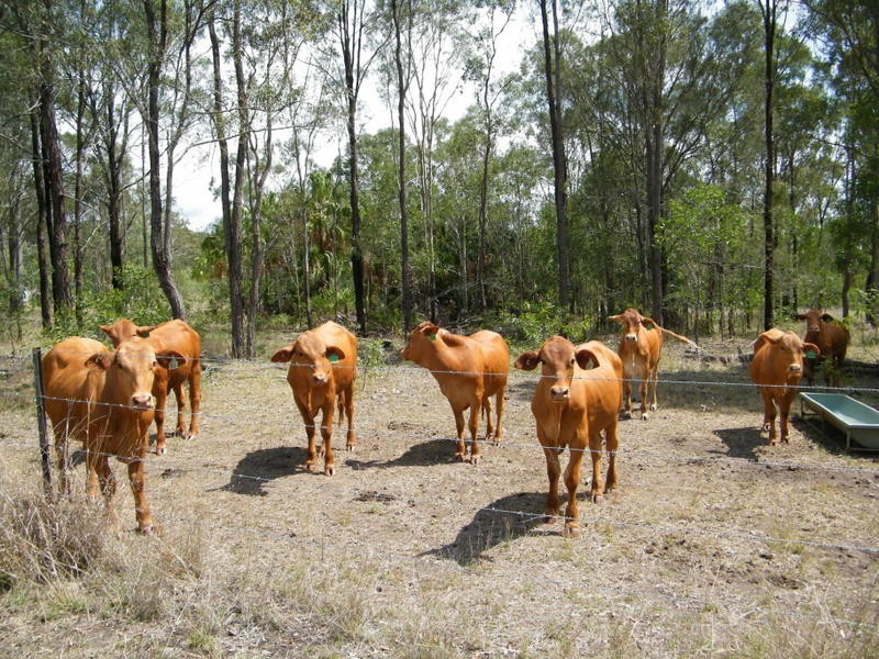 Lot 1 Upper Thornside Road, Widgee QLD 4570